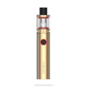 SMOK Vape Indonesia | SMOK paket pena vape v2 64LB278 emas